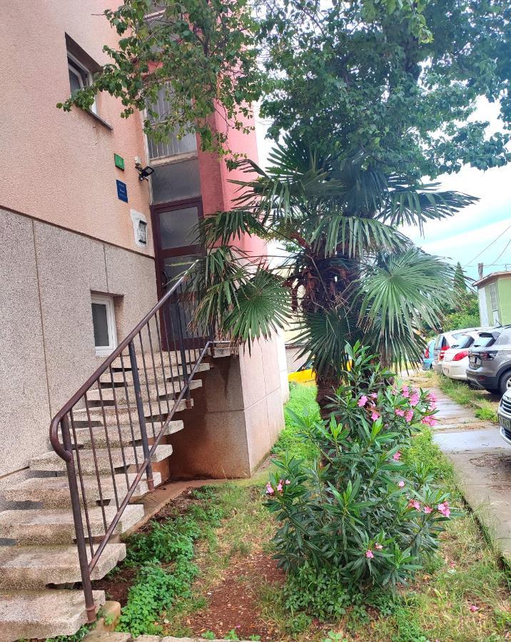 Apartman Levi بولا المظهر الخارجي الصورة